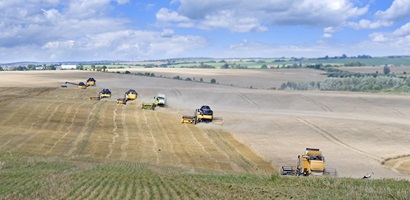 rural agriculture campagne