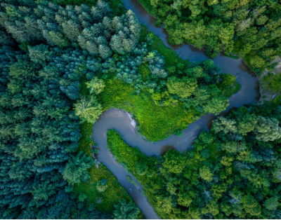 Robeco promeut une stratégie High Income Green Bonds